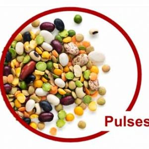 Pulses (beans / lentils / nuts)